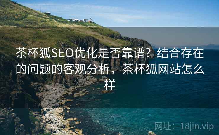 茶杯狐SEO优化是否靠谱？结合存在的问题的客观分析，茶杯狐网站怎么样